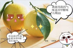 去除甲醛的方法多種多樣，哪種最實(shí)用靠譜